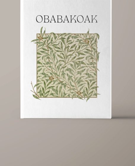 Proyecto Obabakoak